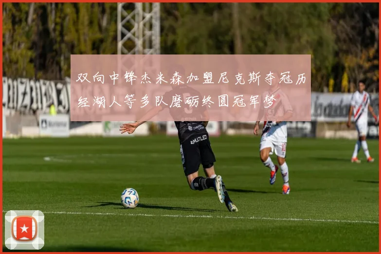 双向中锋杰米森加盟尼克斯夺冠历经湖人等多队磨砺终圆冠军梦