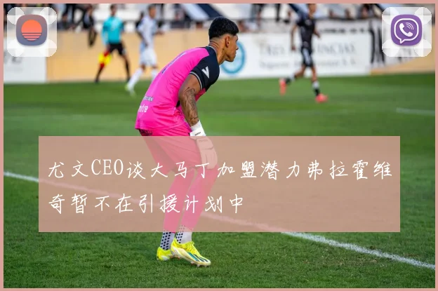 尤文CEO谈大马丁加盟潜力弗拉霍维奇暂不在引援计划中
